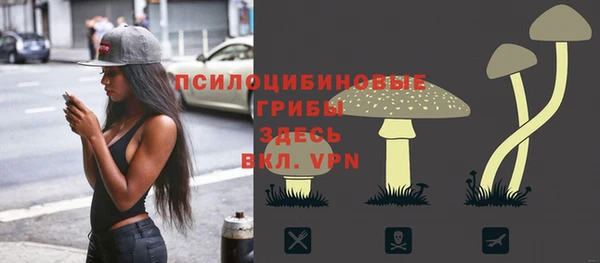 стаф Алексеевка