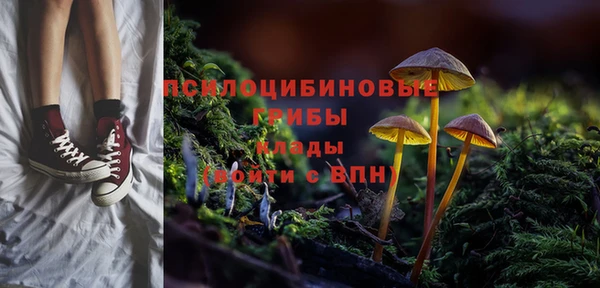 стаф Алексеевка