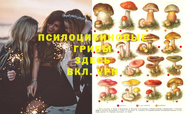 стаф Алексеевка