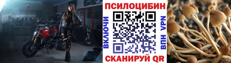 blacksprut зеркало как найти наркотики Кореновск Галлюциногенные грибы GOLDEN TEACHER
